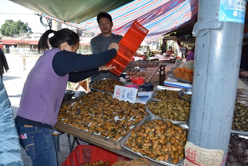 Aquaculture in Hong Kong